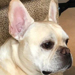 Meet your Posher, Eddie